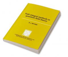 Path Integral Methods in Quantum Field Theory