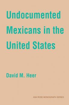 Undocumented Mexicans in the USA