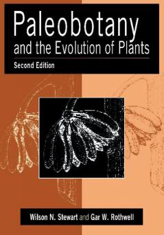 Paleobotany and the Evolution of Plants