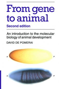 From Gene to Animal