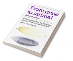 From Gene to Animal