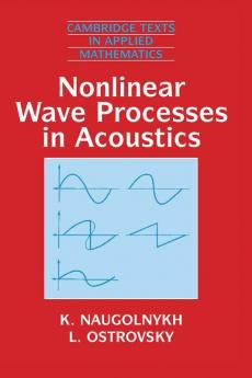 Nonlinear Wave Processes in Acoustics
