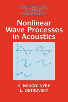 Nonlinear Wave Processes in Acoustics