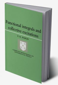 Functional Integrals and Collective Excitations
