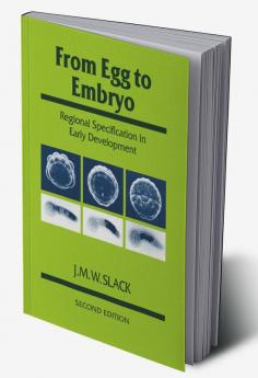 From Egg to Embryo