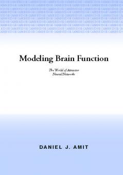 Modelling Brain Function