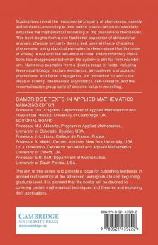 Scaling Self-Similarity and Intermediate Asymptotics