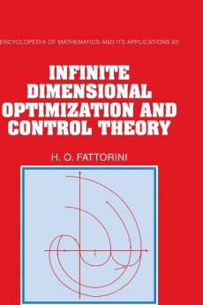 Infinite Dimensional Optimization and Control Theory