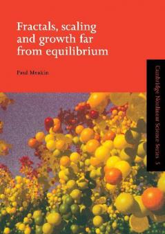 Fractals Scaling and Growth Far from Equilibrium