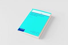 Polynomial Invariant of Finite Groups