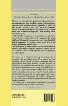 Gametes - The Spermatozoon