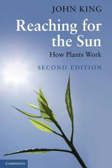 Reaching for the Sun