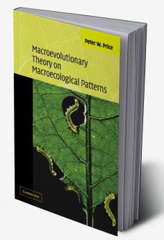 Macroevolutionary Theory on Macroecological Patterns