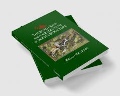 The Stag Hunt and the Evolution of Social Structure
