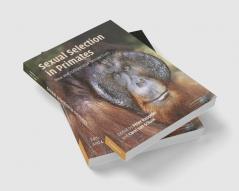 Sexual Selection in Primates