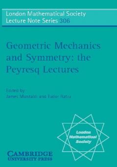 Geometric Mechanics and Symmetry