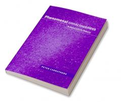 Phenomenal Consciousness