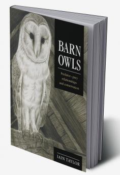 Barn Owls