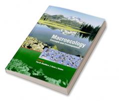 Macroecology