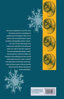 Coastal Marine Zooplankton