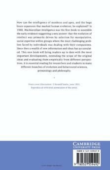 Machiavellian Intelligence II