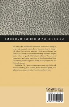 Endothelial Cell Culture