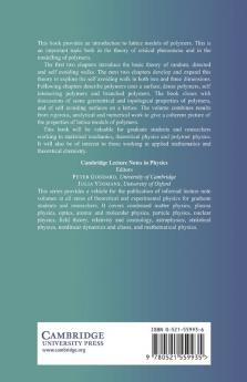 Lattice Models of Polymers