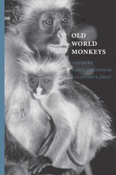 Old World Monkeys