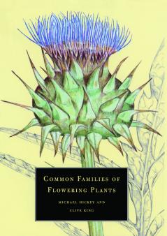 Common Families of Flowering Plants