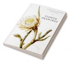 Flower Drawings