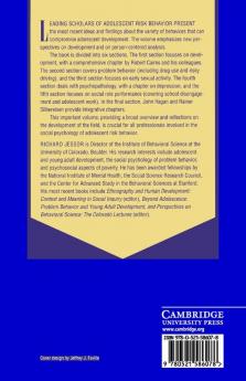 New Perspectives on Adolescent Risk Behavior