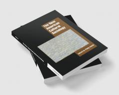 The New American Cultural Sociology