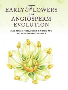 Early Flowers and Angiosperm Evolution
