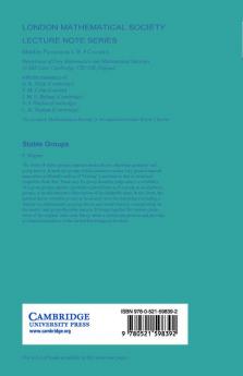 Stable Groups