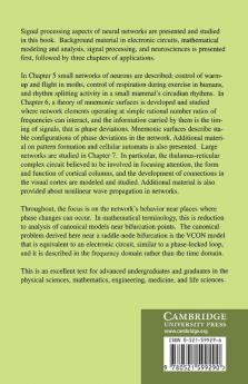 An Introduction to the Mathematics of Neurons