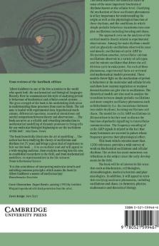 Biochemical Oscillations and Cellular Rhythms