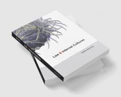 Law and Internet Cultures