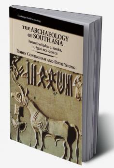 The Archaeology of South Asia