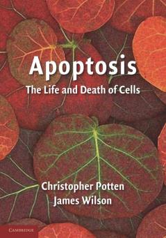 Apoptosis