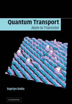 Quantum Transport