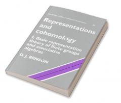 Representations and Cohomology