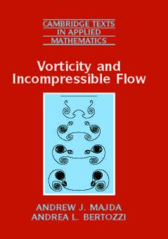 Vorticity and Incompressible Flow