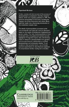 Photosynthesis