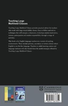Teaching Large Multilevel Classes