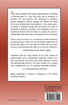 Introduction to Phenomenology