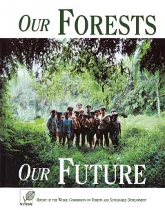 Our Forests Our Future