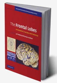 The Frontal Lobes