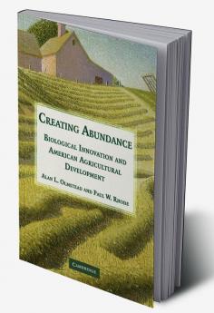 Creating Abundance