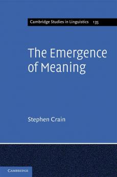 The Emergence of Meaning