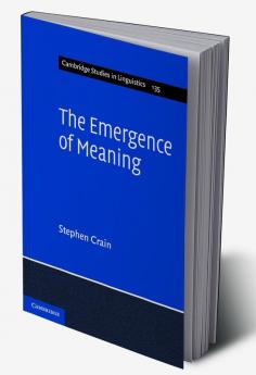 The Emergence of Meaning